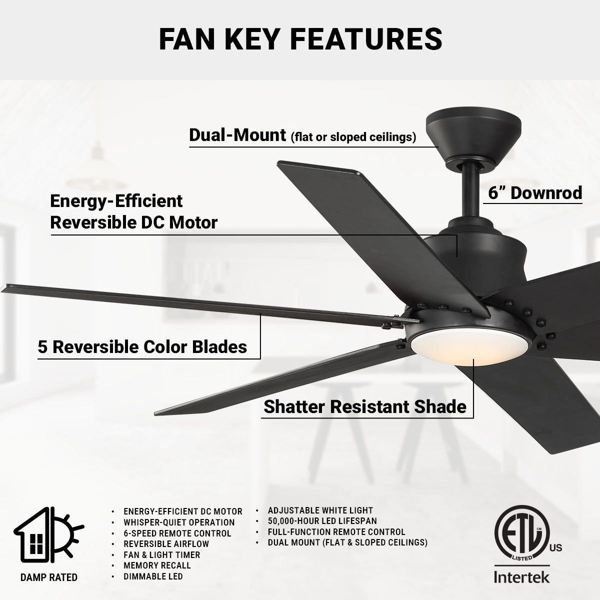 Wynwood Markus 56" Indoor Ceiling Fan with Light – Matte Black