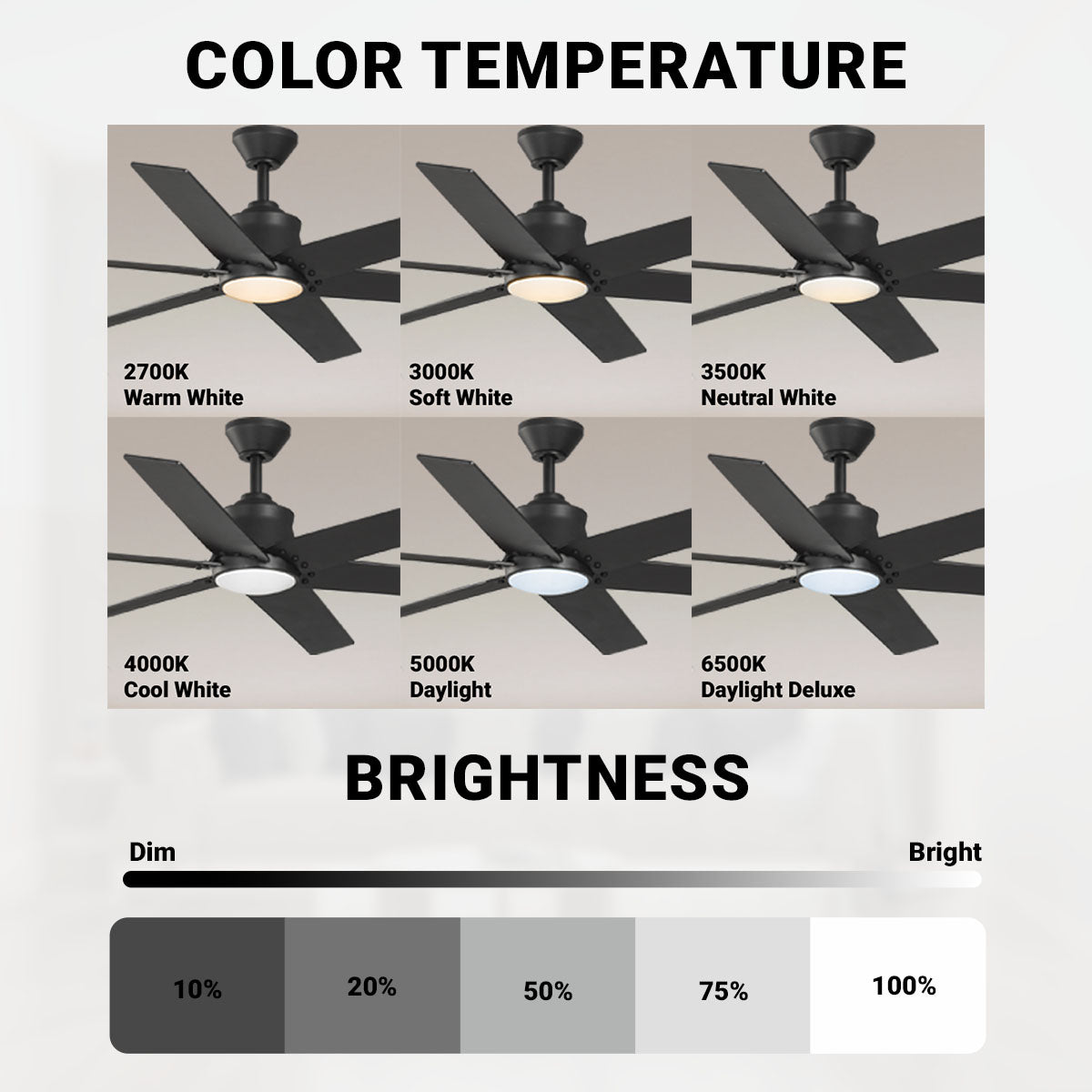 Wynwood Markus 56" Indoor Ceiling Fan with Light – Matte Black