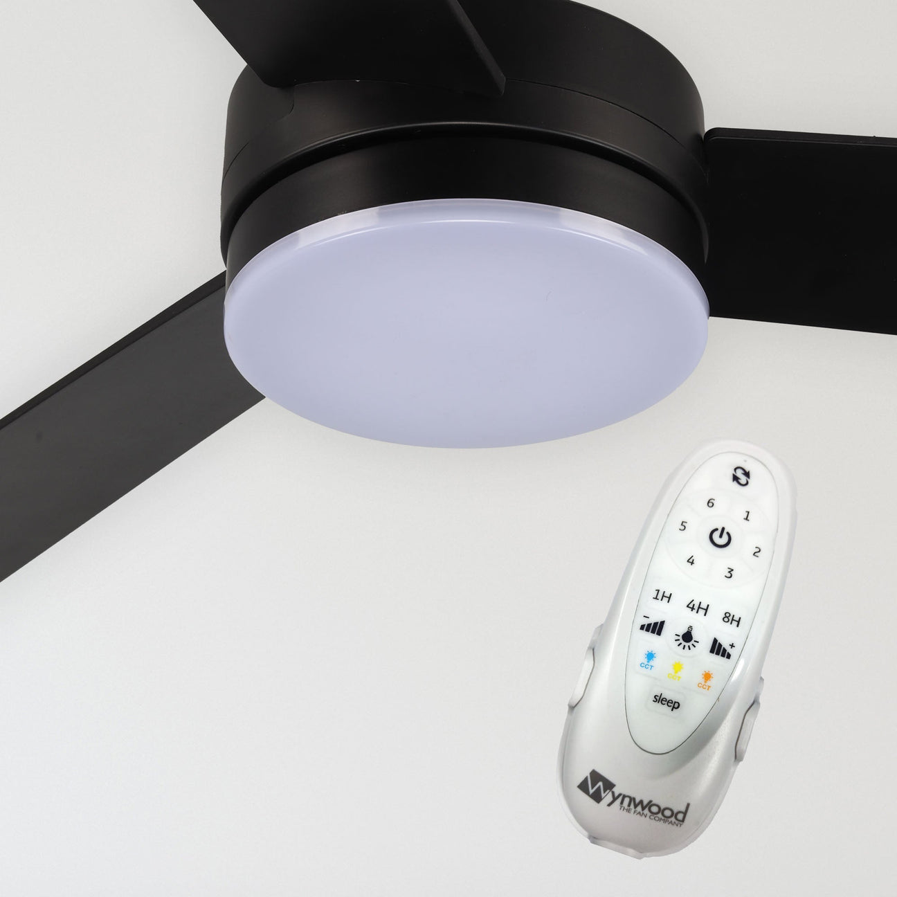 Ceiling Fan with Remote