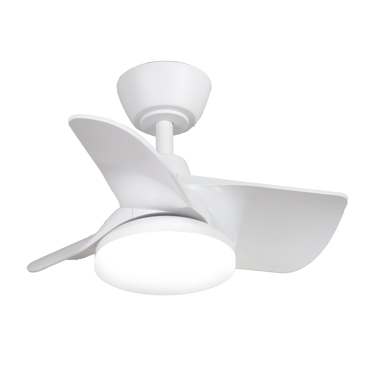 22in Plumier Ceiling Fan – Indoor Small Room Fan with Downrod
