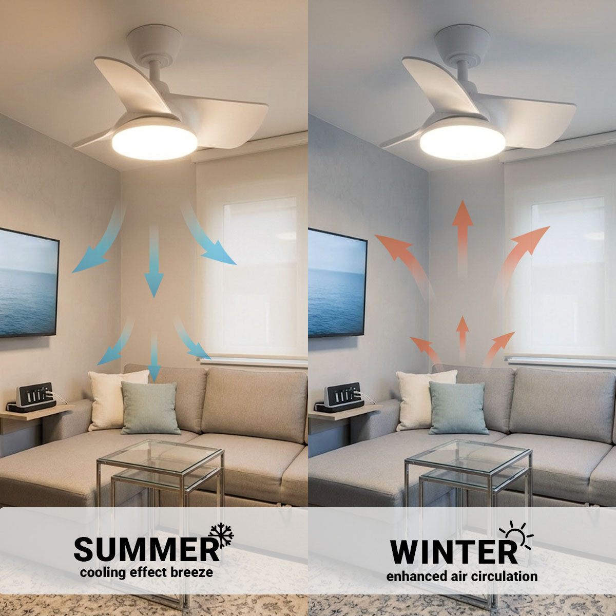 22in Plumier Ceiling Fan – Indoor Small Room Fan with Downrod