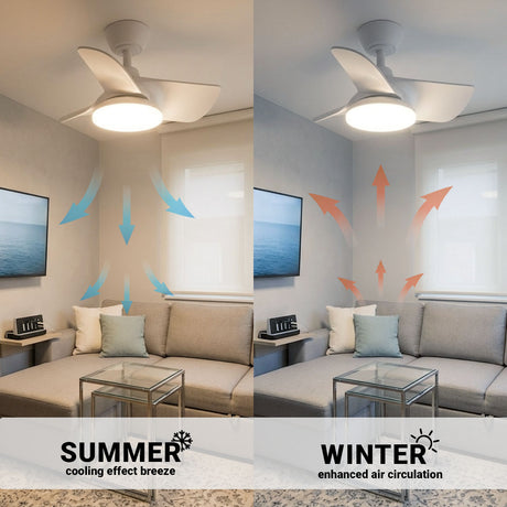 22in Plumier Ceiling Fan – Indoor Small Room Fan with Downrod