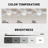 Wynwood 44-Inch Connie Indoor Ceiling Fan with Light – Matte White (W58356)