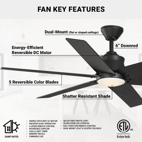 Wynwood Markus 56" Indoor Ceiling Fan with Light – Matte Black
