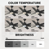 Wynwood Markus 56" Indoor Ceiling Fan with Light – Matte Black