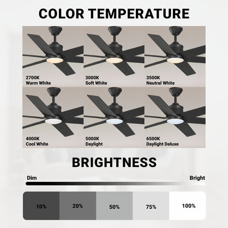 Wynwood Markus 56" Indoor Ceiling Fan with Light – Matte Black