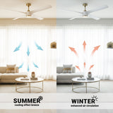 60in Edgewater Ceiling Fan with Light, DC Motor, Remote and LED